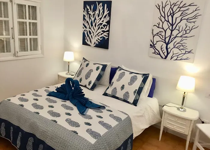 Princesa Sofia 푸에르토 델 카르멘